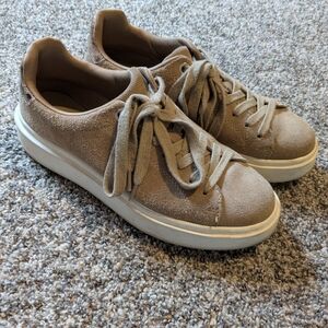 Steve Madden Charlies Tan Suede Women's Sneakers